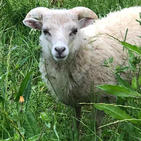 La Grange De Gasthuis