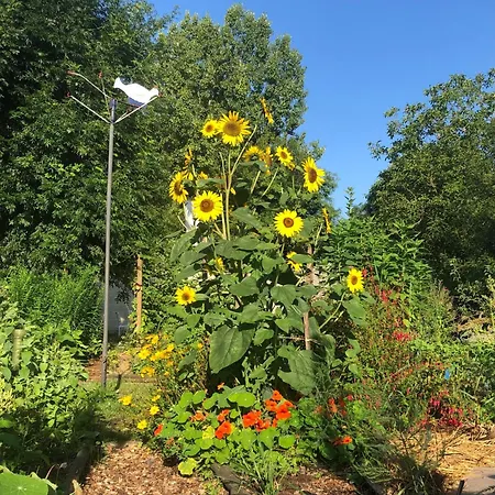 La Grange De Gasthuis La Brousse