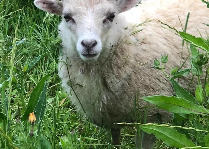 La Grange De Pensión