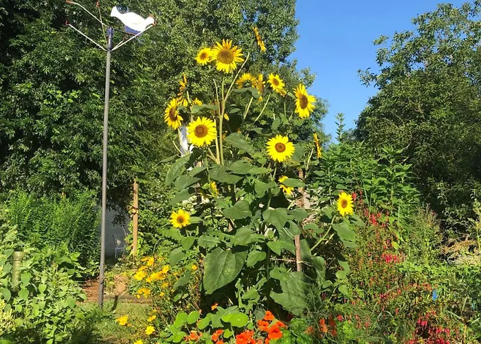 La Grange De Pensión La Brousse